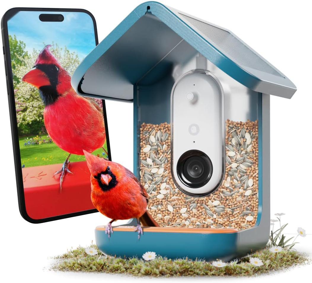 Birdbuddy PRO Solar Smart Bird Feeder with Camera - AI Bird Species Identification, 5MP Photos, 2... | Amazon (US)