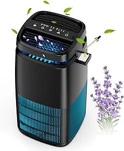 POMORON 4-in-1 Air Purifiers for Home, Air Ionizer Negative Ion Generator, Efficient HEPA Filter,... | Amazon (US)