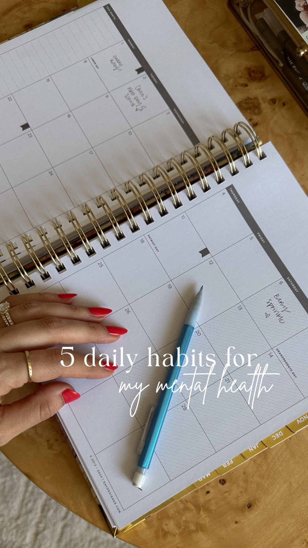 I have loved my Day Designer for yearsss! Chloe is starting back to school so I treated myself to a new school year planner! 😍 

#LTKHome #LTKFamily