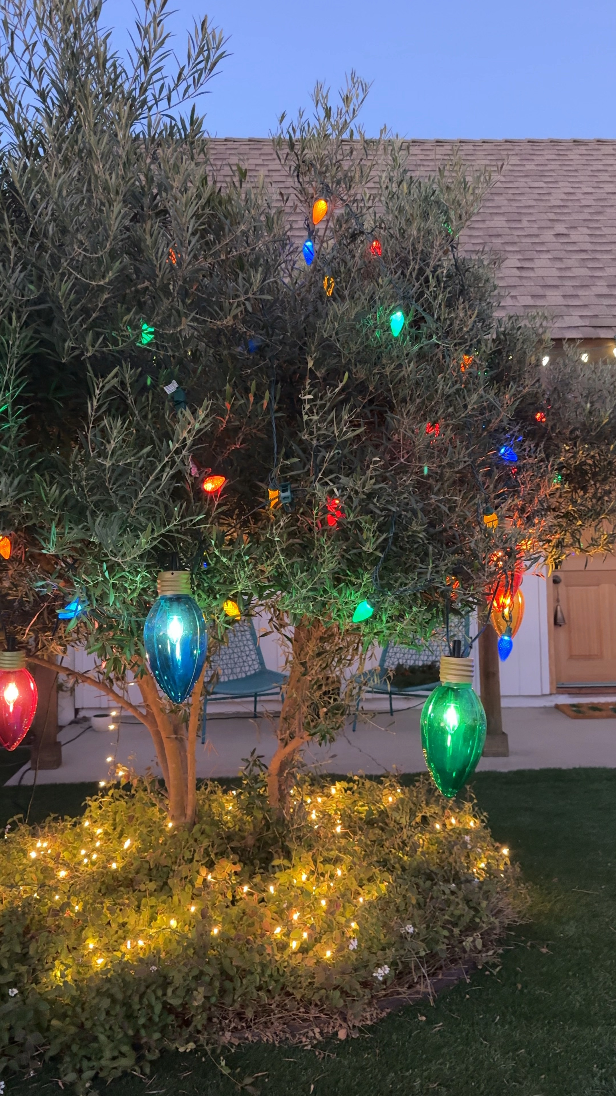 Christmas outdoor lights and decor

#LTKHome #LTKHoliday #LTKSeasonal