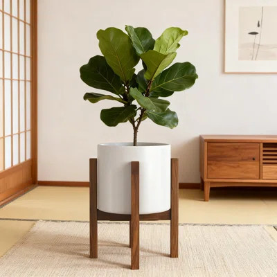 Mid Century Modern Plant Stand Handcrafted From Solid Acacia Wood Adjustable Holder For 8 To 12 Inch Pots Indoor And Outdoor Use | Wayfair North America