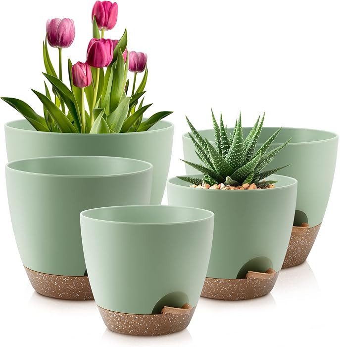 Plant Pots 10/9/8/7.5/7 Inch Self Watering Pots, Set of 5 Plastic Planters with Drainage Holes an... | Amazon (US)