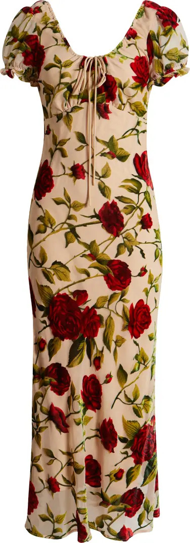 Rose Devoré Maxi Dress | Nordstrom