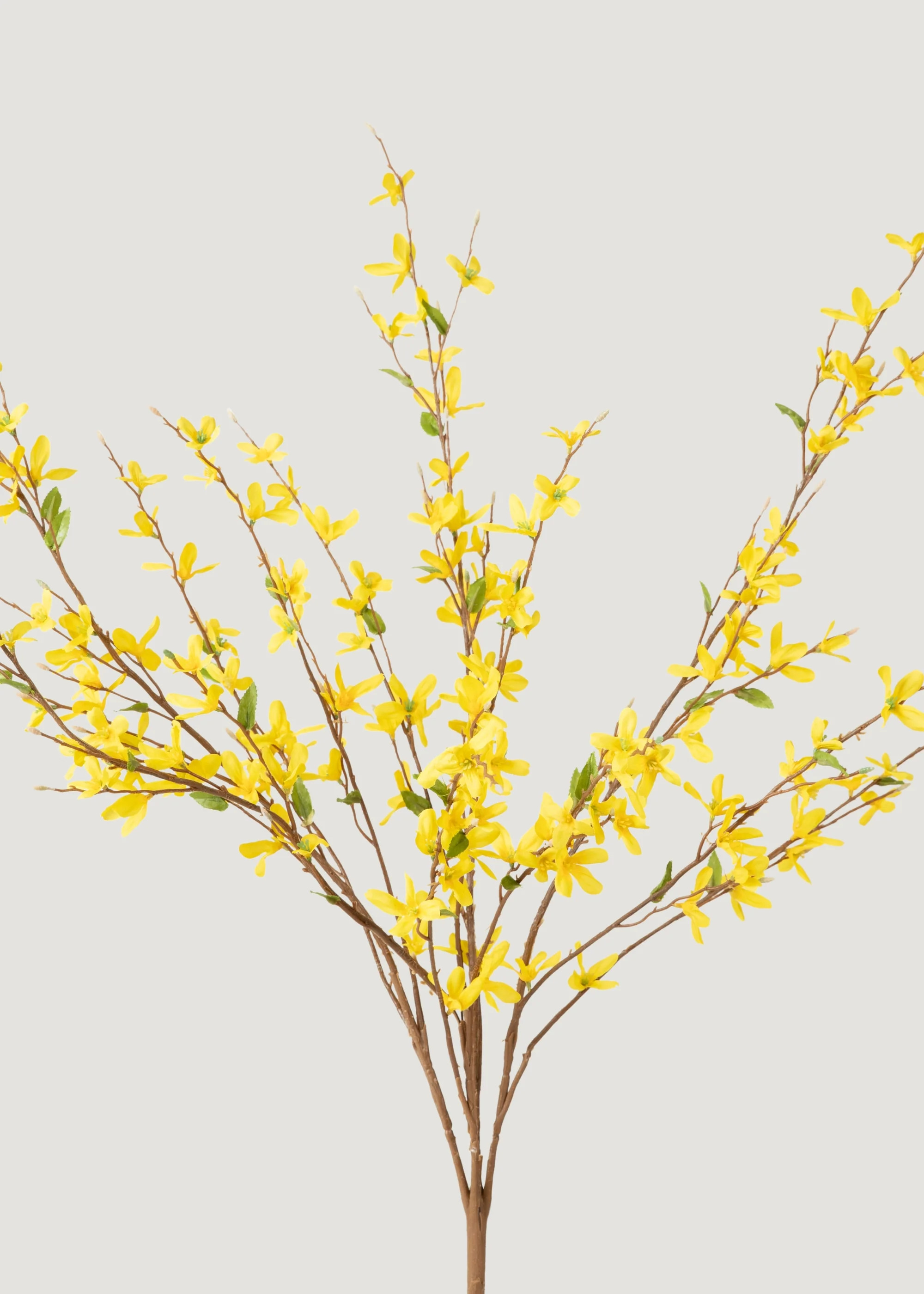 Yellow Forsythia Bush | Artificial Spring Flowers at Afloral | Afloral