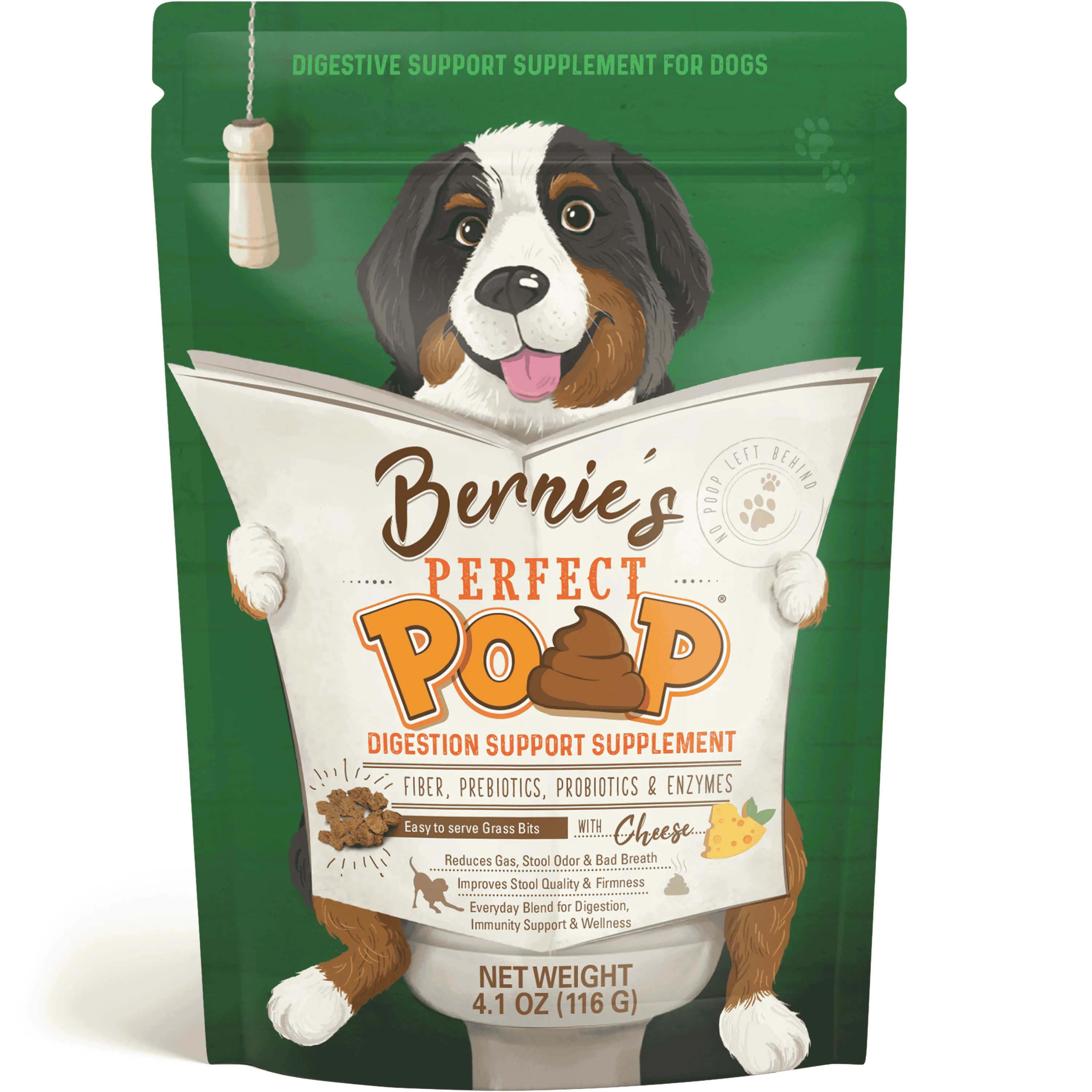 Bernie's Perfect Poop Ultimate Digestive Health Supplement for Dogs. Prebiotics, Probiotics, Fibe... | Walmart (US)