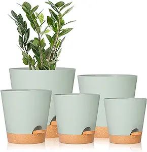 GARDIFE Plant Pots 7/6.5/6/5.5/5 Inch Self Watering Planters with Drainage Hole, Plastic Flower P... | Amazon (US)