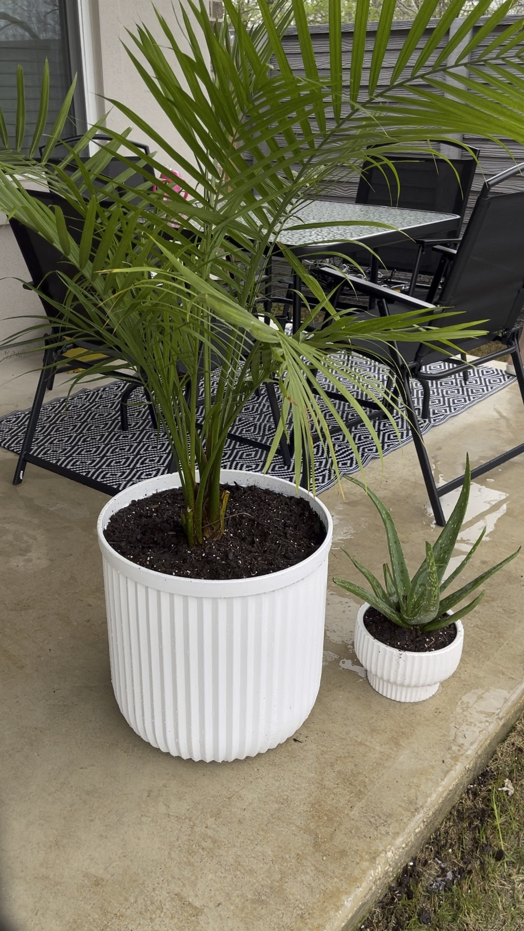 Walmart pottery barn dupe

#LTKSeasonal #LTKSpringSale #LTKhome