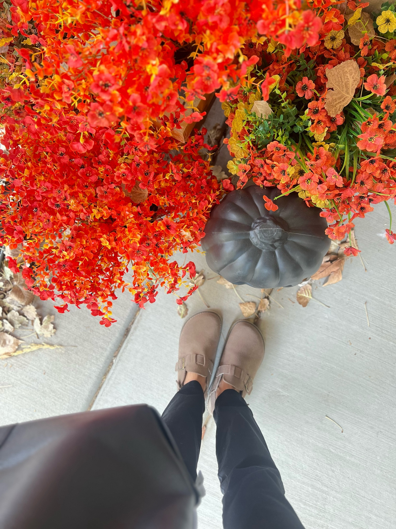 The fall “potato” shoes 🍂

#LTKSeasonal #LTKShoeCrush #LTKFindsUnder50