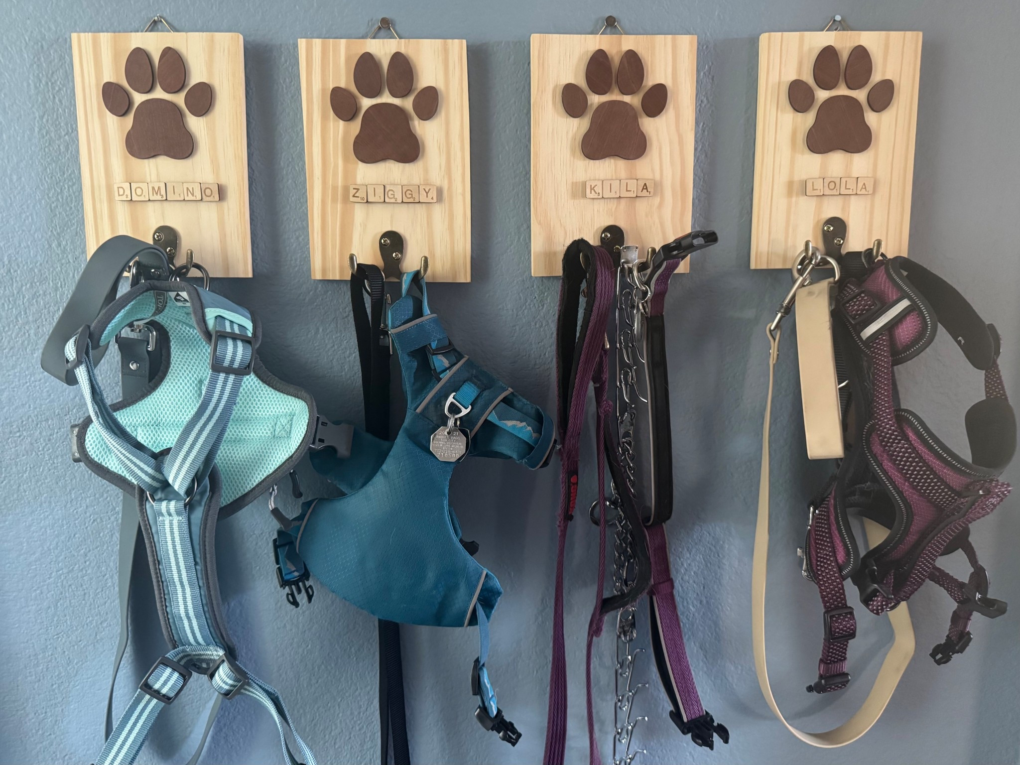 Dog leash wall holder 

#LTKFindsUnder50 #LTKHome #LTKPets
