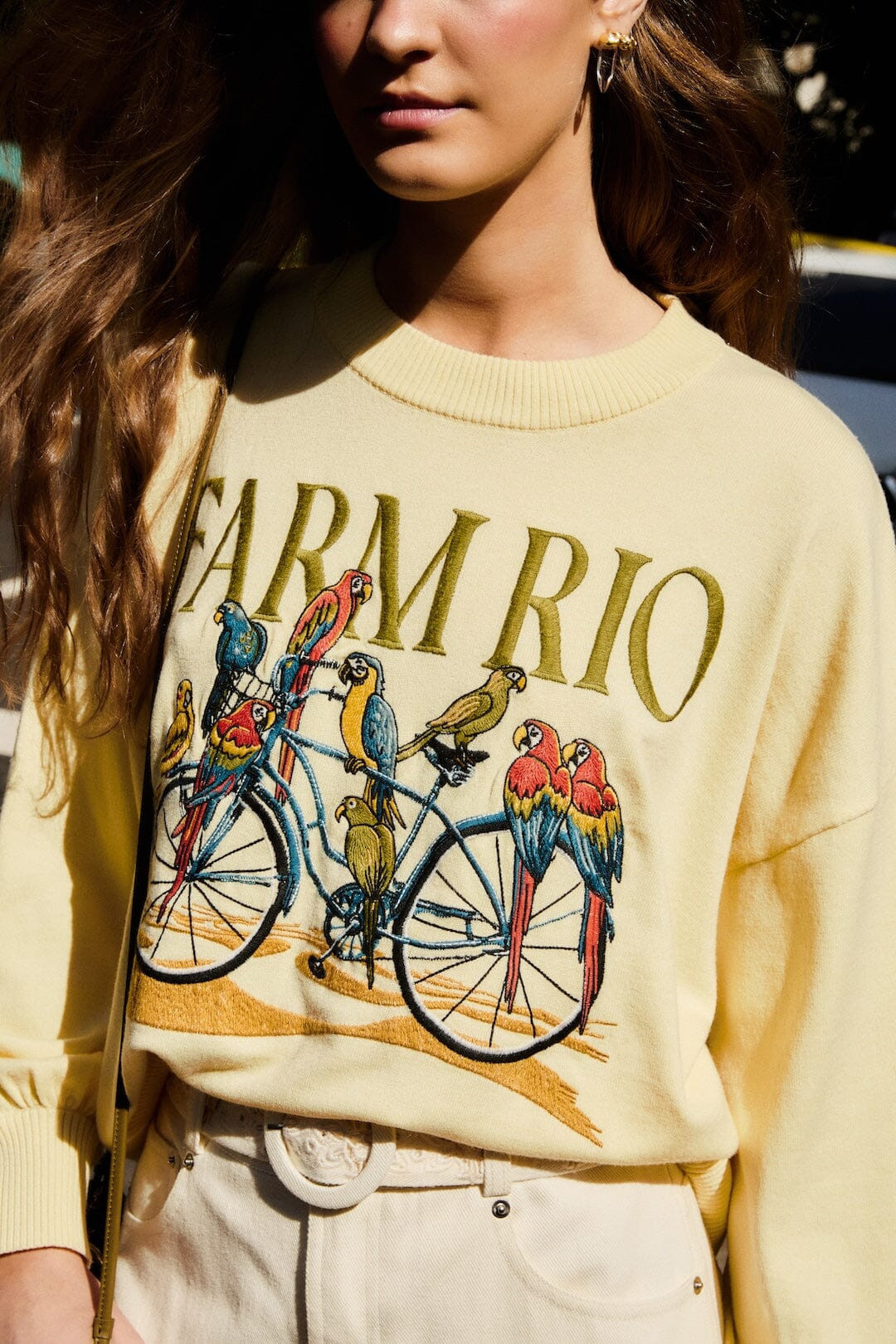 Yellow Birds Bicycle Embroidered Sweater, YELLOW / S | FarmRio (US)