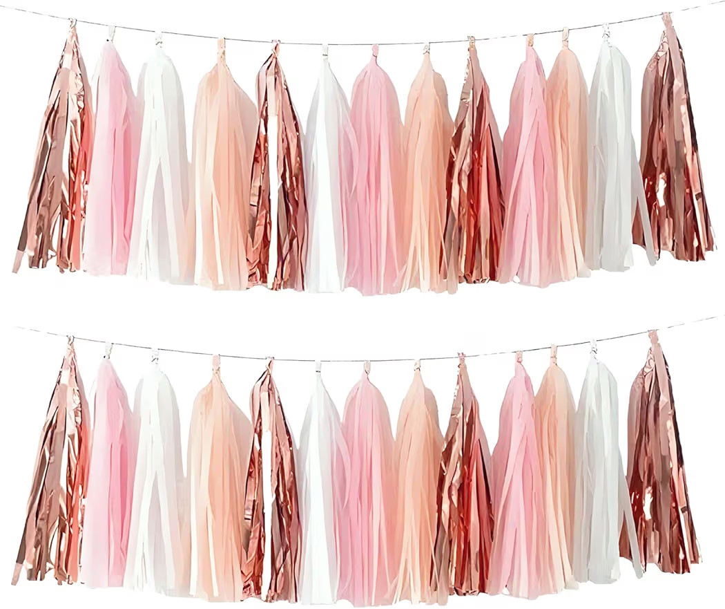 Rose Gold Peach White Pink Tassel Garland Banner, 20 Pack, Tassel Garland Party Decorations for B... | Amazon (US)