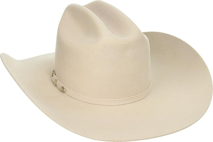 Ariat Men's 3X Wool Felt Cowboy Hat Silver Belly 7 1/4 | Amazon (US)