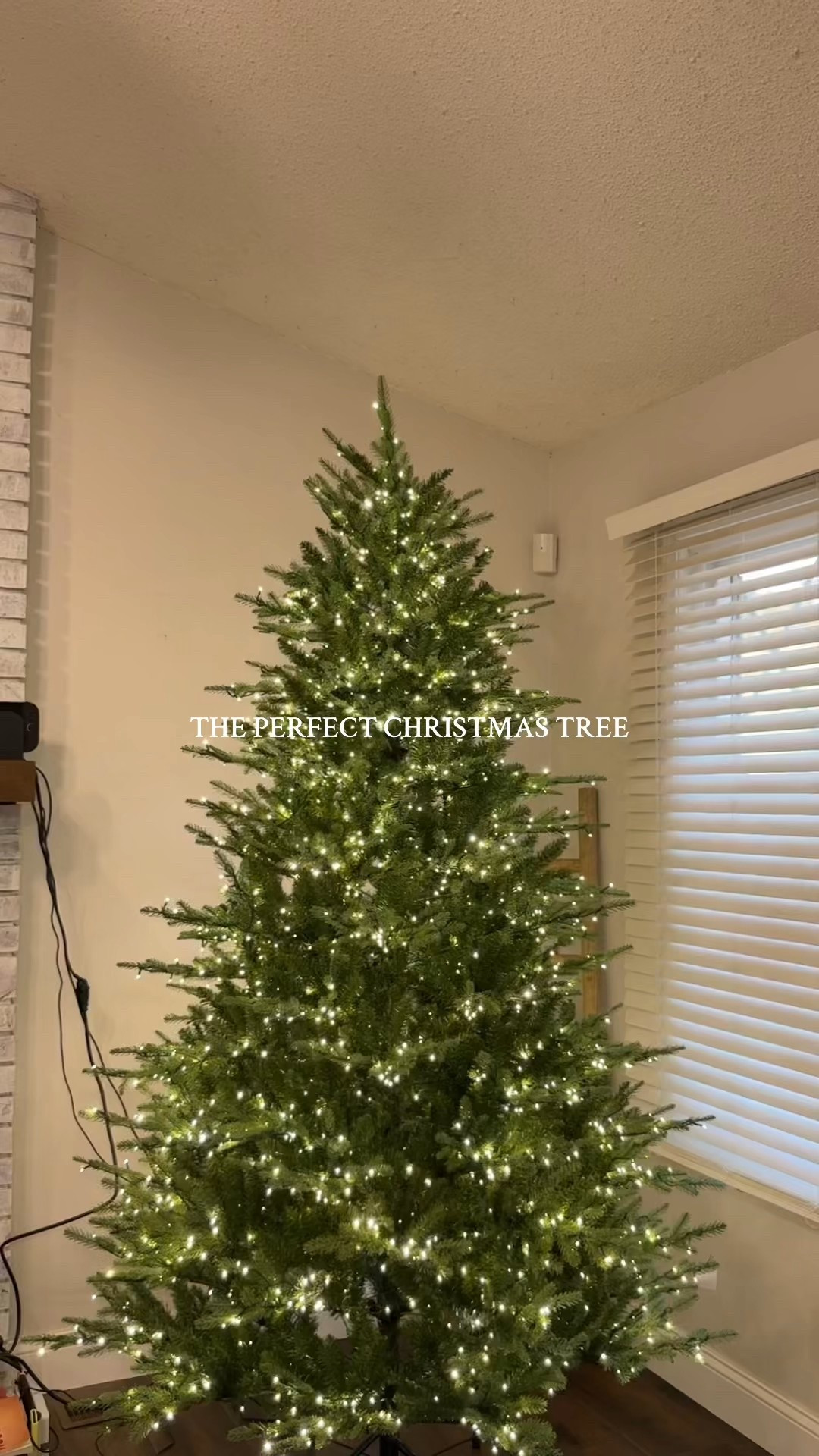 The perfect Christmas tree for this holiday season!!

#LTKHoliday #LTKCyberWeek #LTKGiftGuide