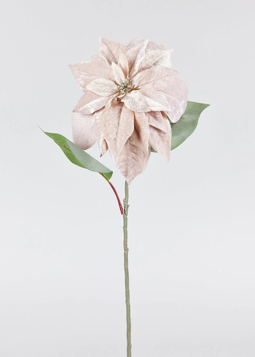 Beige Pink Velvet Poinsettia Christmas Flower - 28" | Afloral