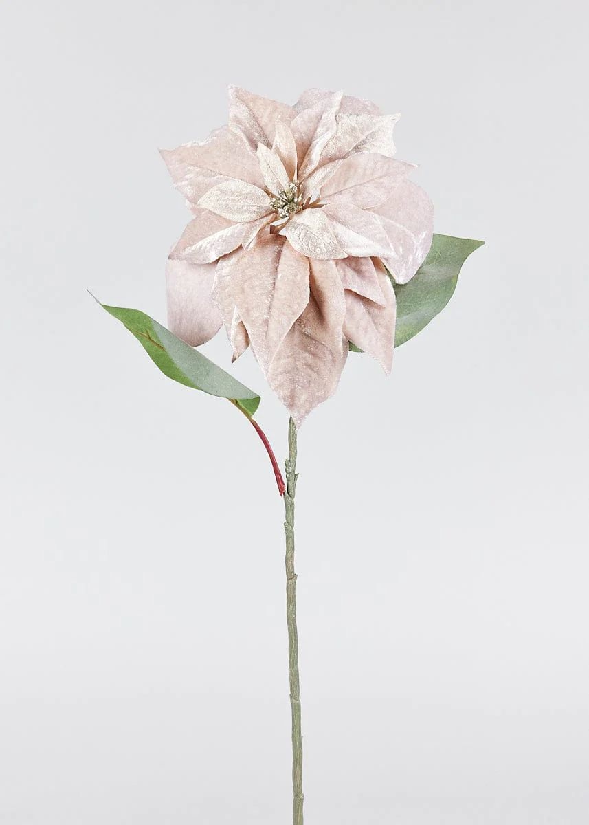 Beige Velvet Poinsettia | Artificial Christmas Flowers | Afloral.com | Afloral