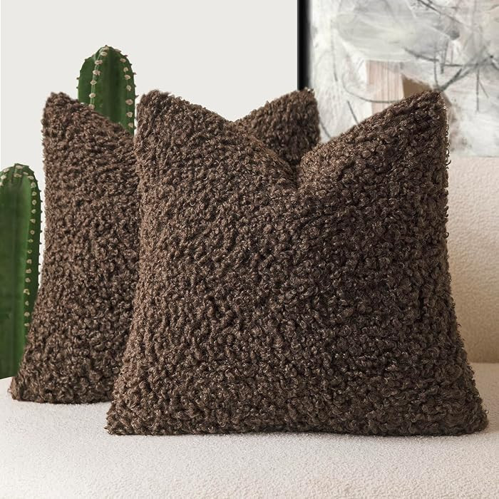 Foindtower 2 Pieces 20x20 Inch Dark Brown, Faux Fur Throw Pillow Cover Accent Sherpa Furry Pillow... | Amazon (CA)