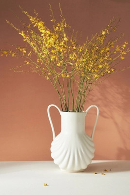 Pettini Vase | Anthropologie (UK)
