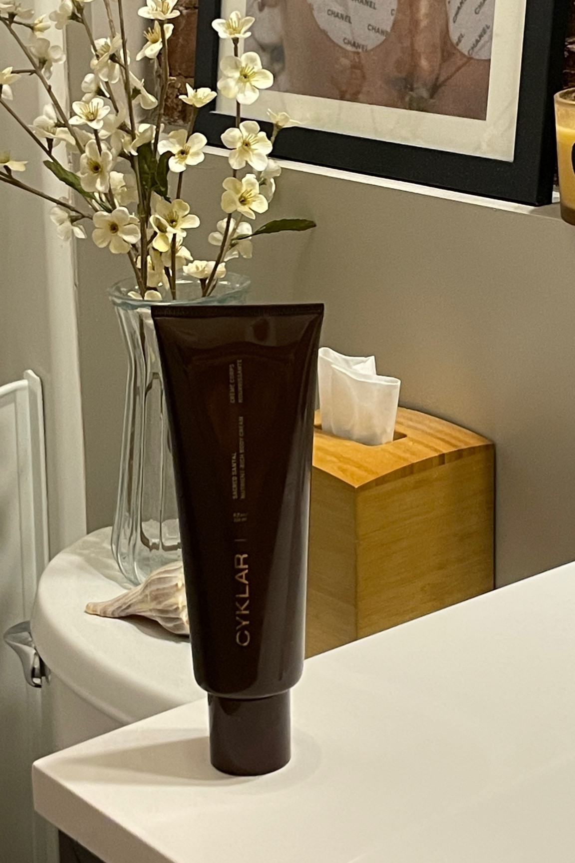 ATTENTION ALL VANILLA & SANTEL LOVERS, this is it!!!