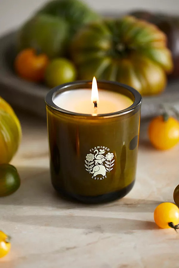 Flamingo Estate Roma Heirloom Tomato Candle | Terrain
