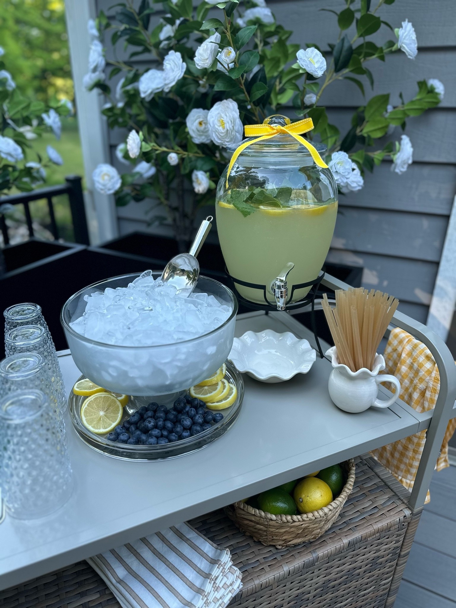 #ad Summer Sips Station 🍋 Wayfair is my go-to for summer hosting. This beverage cart is styled with hobnail glasses, striped napkins, a serving bowl, fresh lemons, and all the essentials for an easy backyard lemonade bar.

@Wayfair #wayfairpartner #wayfair #wishyouwerehere #outdoor #beveragecart #summerentertaining #outdoorliving #patiodecor #lemonadebar #hostingessentials #outdoorstyle #summerhosting

#LTKSeasonal #LTKHome #LTKSaleAlert
