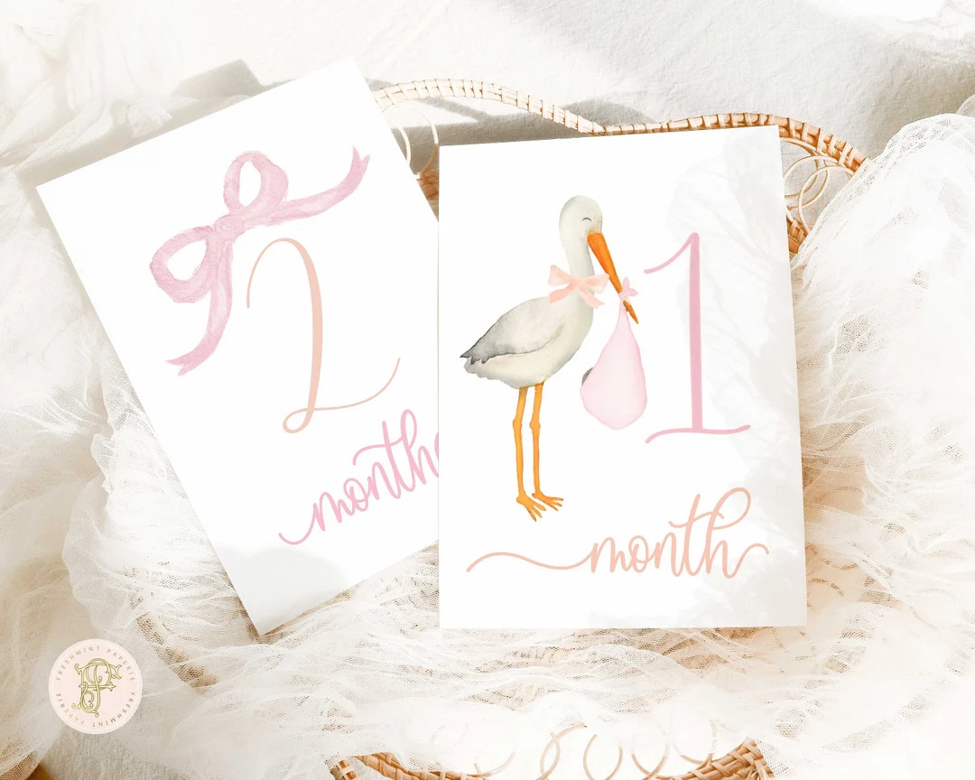 Girl Milestone Cards | Milestone cards | Stork | Baby Gift | New Mom | Gift Ideas | Baby Shower |... | Etsy (US)