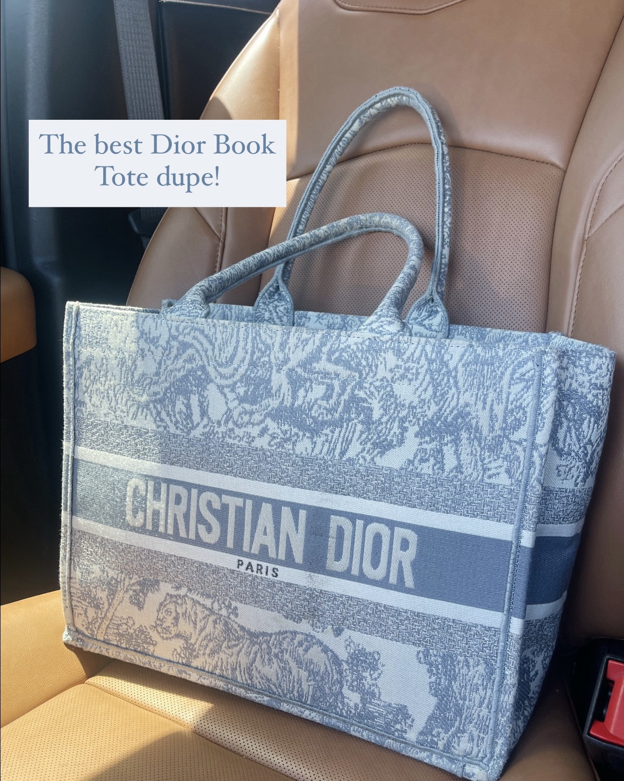 Christian Dior Book Bag

Dior book tote, toile tote, Dior bag, Dior purse, designer tote, designer tote dupe, designer inspired tote, Dior inspired tote, Dior purse dupe, Dior bag dupe, Dior tote dupe, Dior book bag dupe, Dior book tote dupe, Dior, Dior dupe, Dior inspired, Amazon Dior dupe, Amazon Dior inspired purse, Dior inspired bag, Dior inspired tote, Amazon Dior dupe, gray tote, toile tote, toile bag, gray toile bag, gray toile purse, gray toile bag, toile bag, Morgan Grace 

#LTKSaleAlert #LTKSeasonal #LTKItBag