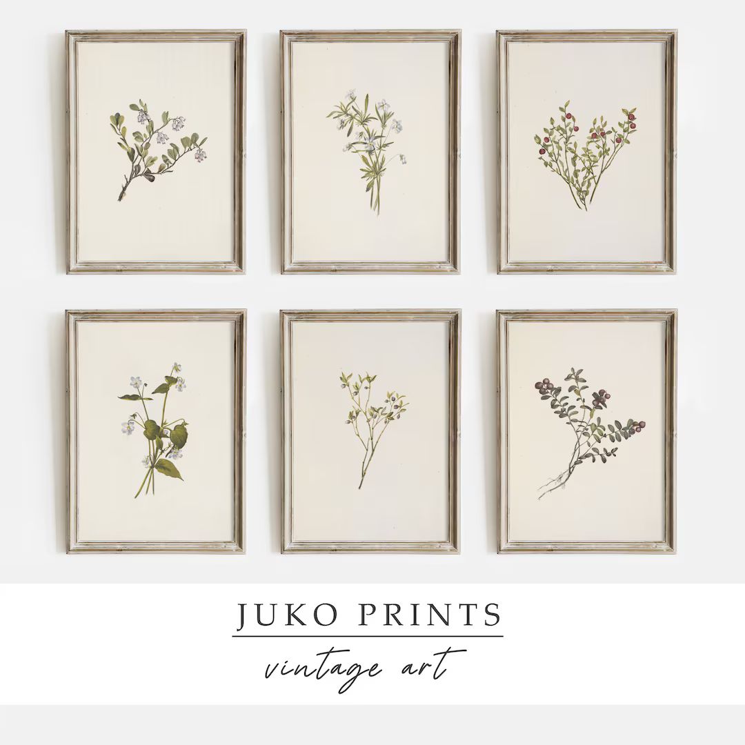 Vintage French Country Gallery Wall Art Set Of 6 (Six) Prints With Vintage Botanical Paintings | ... | Etsy (US)