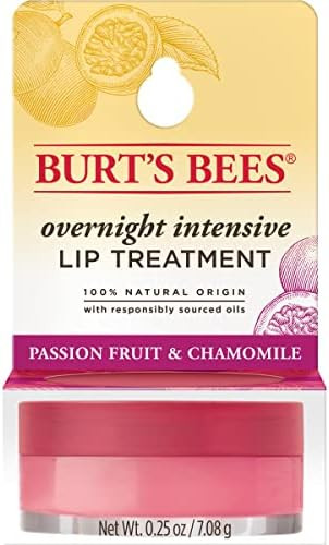 Burt's Bees Stocking Stuffers, Moisturizing Lip Care Christmas Gifts, Overnight Intensive Lip Tre... | Amazon (US)