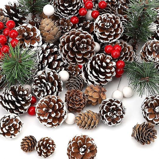 hatisan 115Pcs Christmas Pine Cones Berry Pine Branch Set White Christmas Decorations for DIY Cra... | Amazon (US)