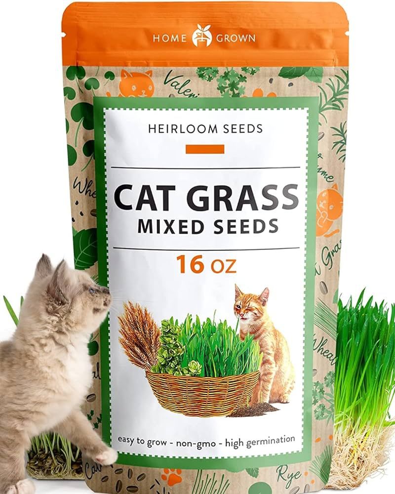 HOME GROWN 1 Pound Cat Grass Seeds for Indoor Cats & Pets - Ready to Eat in 7 Days - Quick & Easy... | Amazon (US)