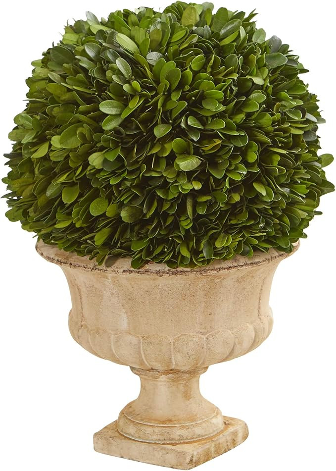Nearly Natural 12in. Boxwood Topiary Ball Preserved Plant in Decorative Urn | Amazon (US)
