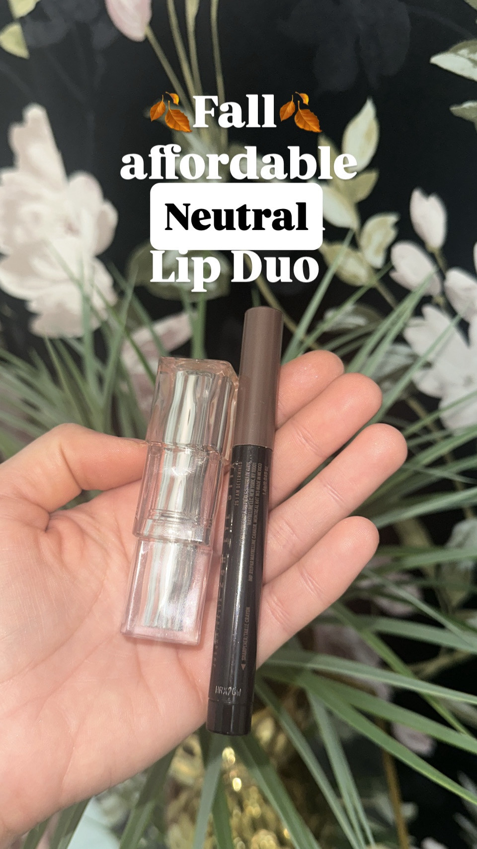 Affordable neutral Fall Lip duo  🍂