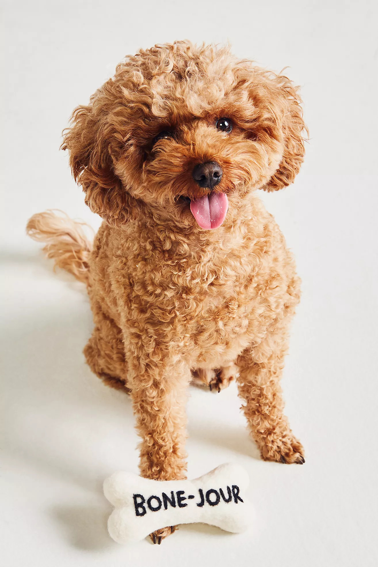 By Anthropologie Bone-Jour Dog Toy | Anthropologie (US)