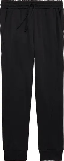 Pyrite Lite Jogger Pants | Nordstrom