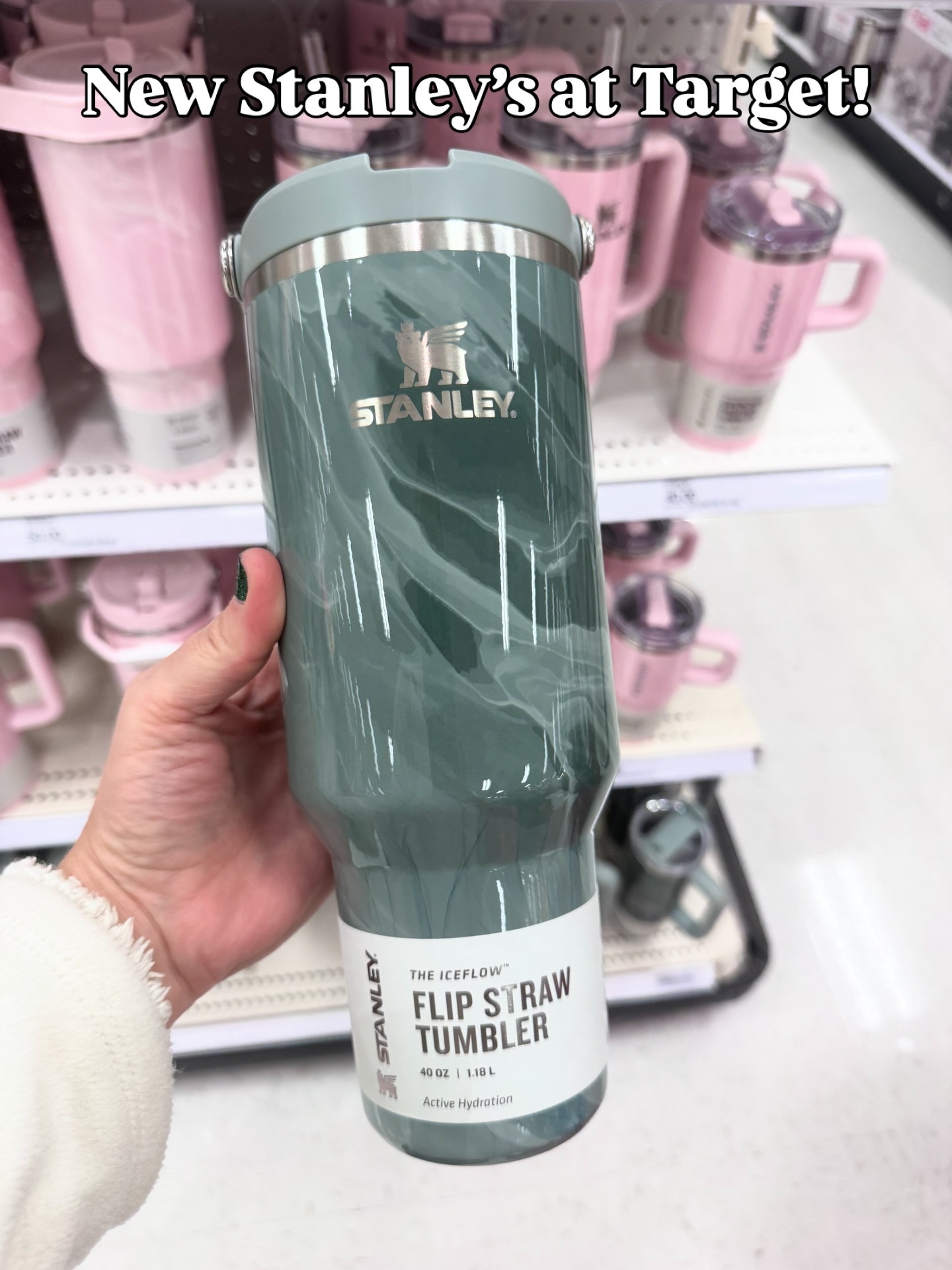 New Stanley release at Target! 🎯 Follow + comment “SHOP” for a link! ✨MUST BE FOLLOWING FOR THE LINK TO COME THROUGH✨ #paidlink