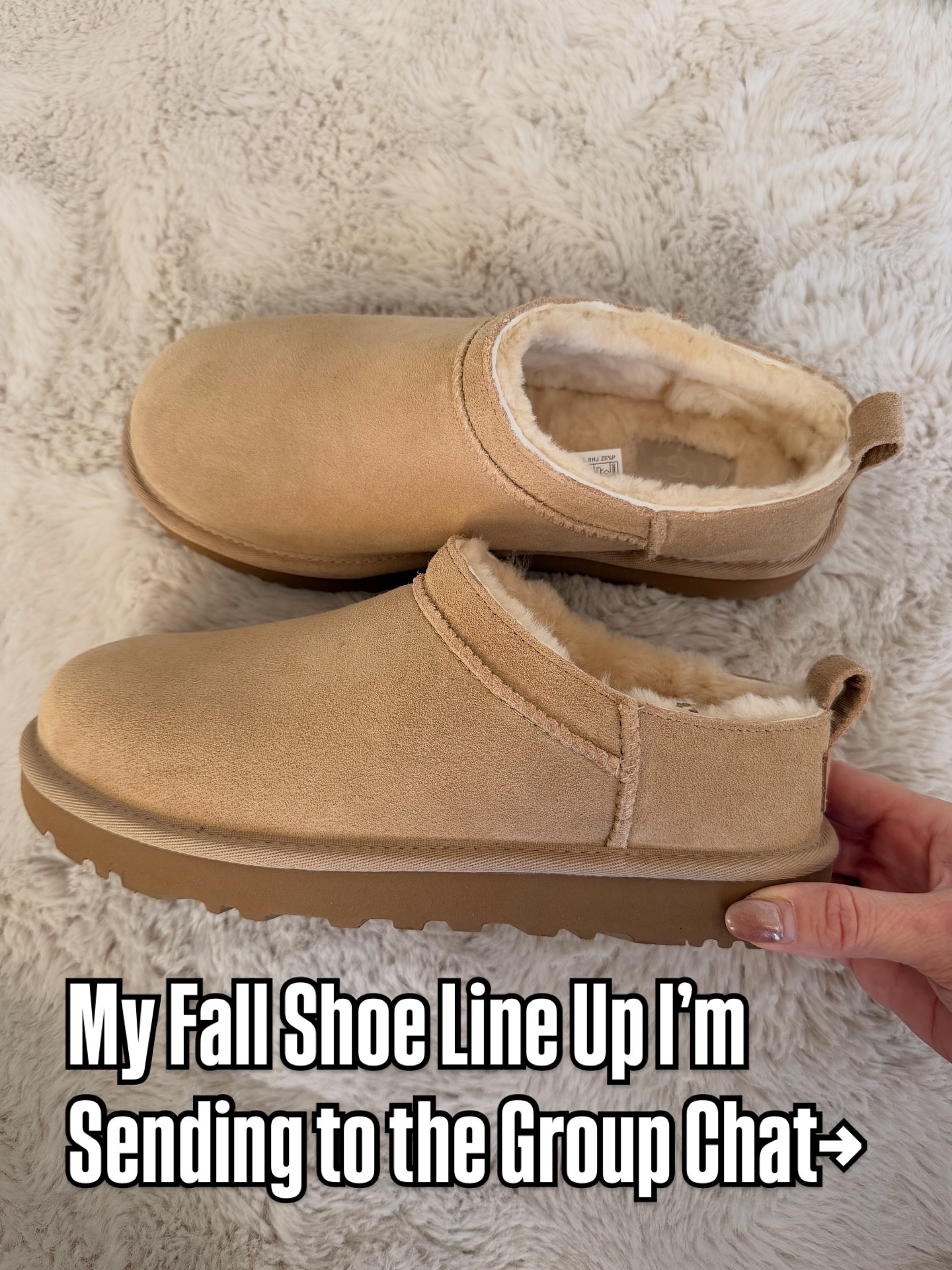 My FALL SHOE lineup 🤎💫 Comment SHOP for links 🔽🎉😍 #ltkshoecrush #ltkunder100

All of these fall shoes and boots are perfect for your cozy fall outfits. 🍁 these would also make perfect gift ideas for the people that are hard to shop for on your list.

#LTKootd #LTKOver40 #LTKGiftGuide