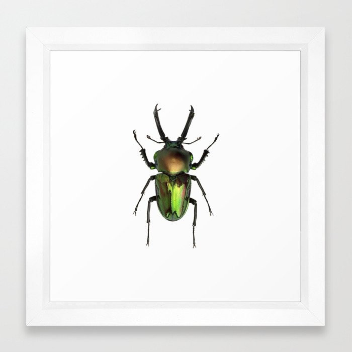 Rainbow Stag Beetle Framed Art Print by Carlitov - Vector White - X-Small-12x12 | Society6