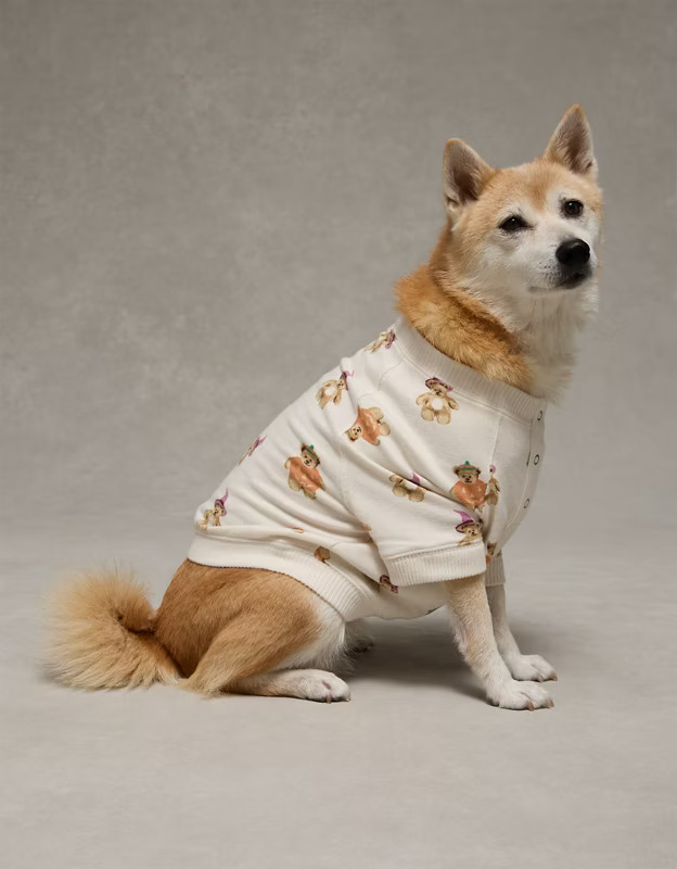 ABO Pumpkin Bear Plush Dog PJ Shirt | American Eagle Outfitters (US & CA)