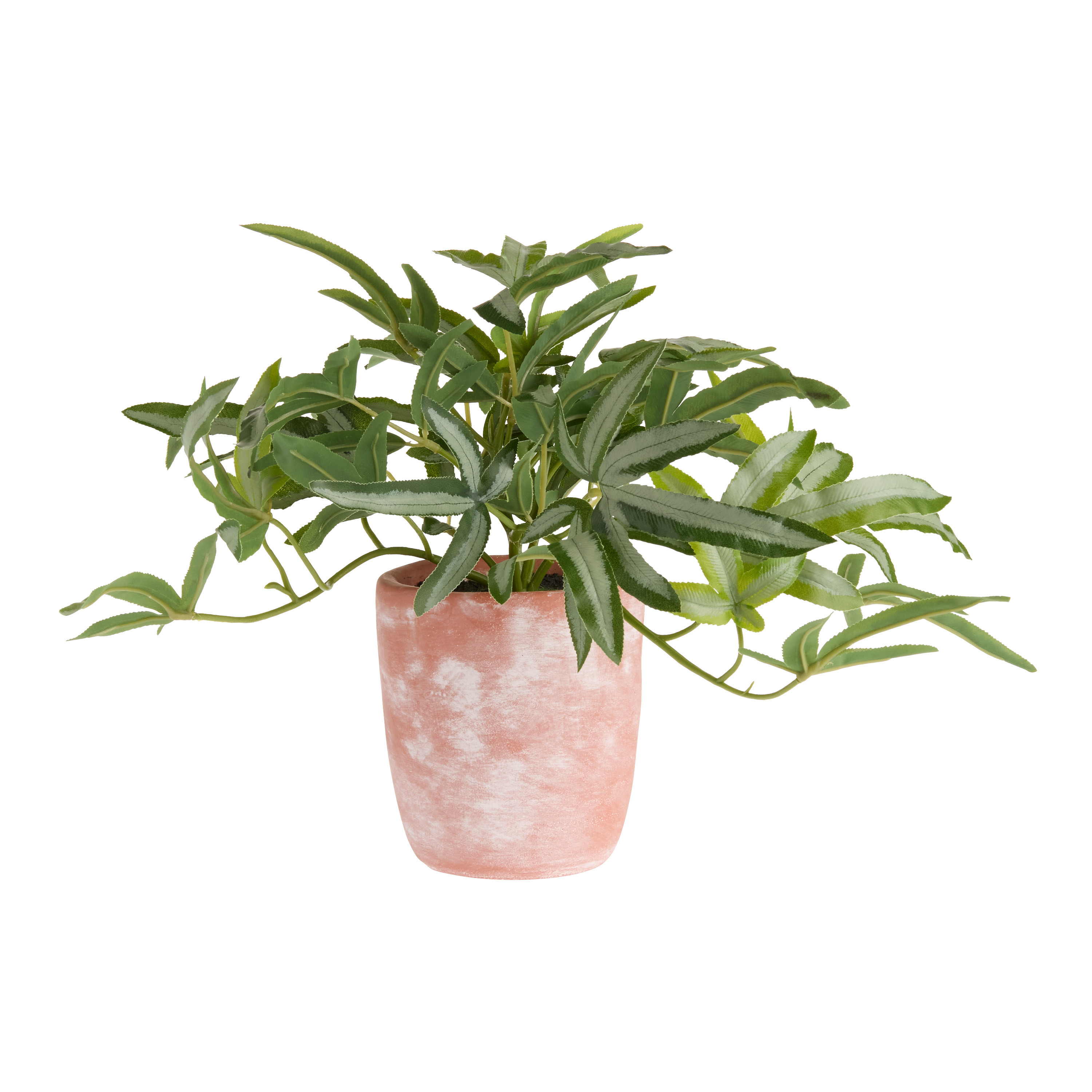 Faux Cretan Brake Fern in Terracotta Pot | World Market