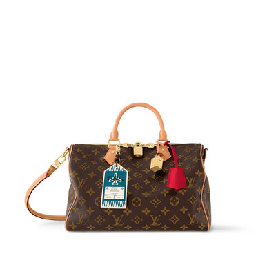 NIB Louis Vuitton Speedy Soft 30 Crafty M11945 100% Authentic | eBay US