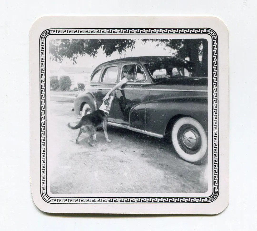 A Pet From a Car. C. 1930s Fox-tone Print. Vintage Original Black & White Vernacular Snapshot Pho... | Etsy (Global)