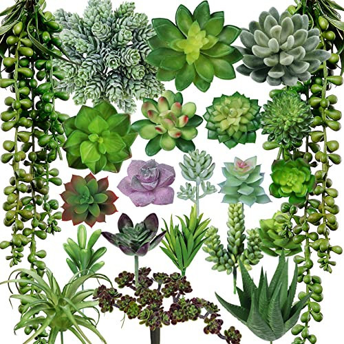 Winlyn 22 Pcs Bulk Artificial Succulents Plants Unpotted Small Aloe Hanging String of Pearls Cactus Green Fake Succulents for Succulent Garden Arrangement Centerpiece Wall Indoor Outdoor Home Decor | Amazon (US)