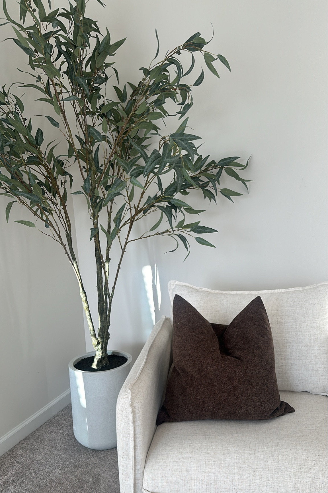 CG Hunter eucalyptus plant

#LTKstyletip #LTKhome
