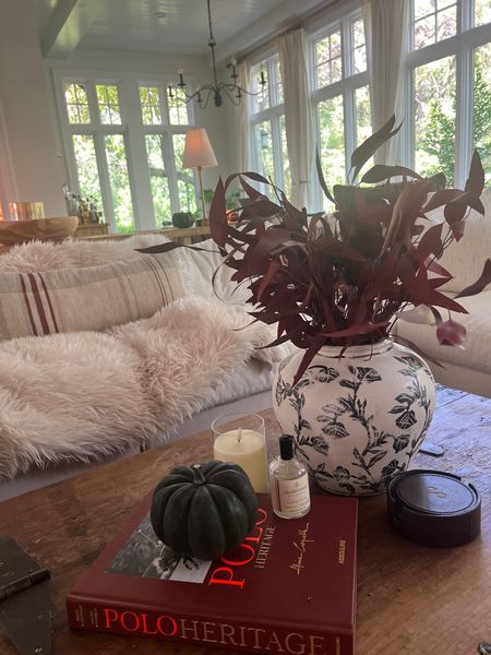Added some new accessories and details to my living room to transition into fall and easily blend into holiday decor as well!  

#LTKhome #LTKstyletip #LTKSeasonal