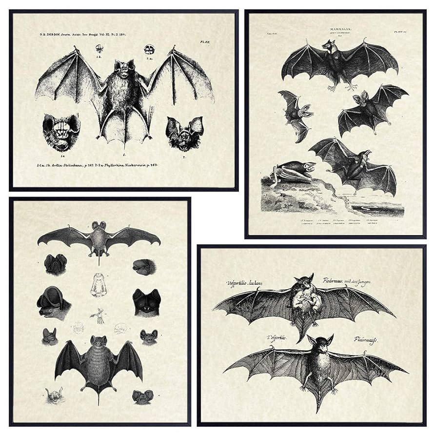 Bats Wall Decor - Vintage Retro Hipster Goth Art, Home or Room Decoration - Gift for Gothic, Horr... | Amazon (US)