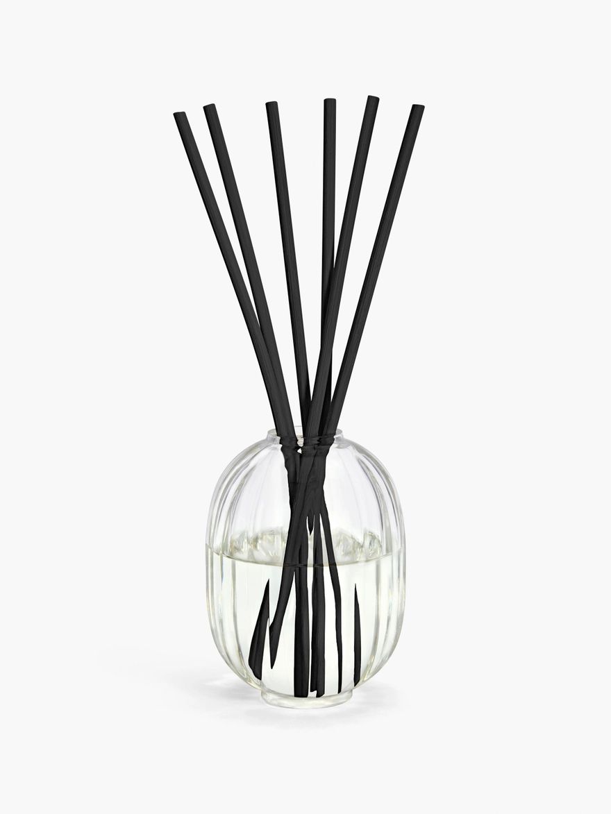 Baies (Berries)
            Home Fragrance Diffuser | diptyque (US)