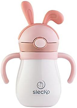 Stainless Steel Baby Water Bottle - Straw Sippy Cups For Toddlers - 2 Kinds of Lids - Pacifier and S | Amazon (US)