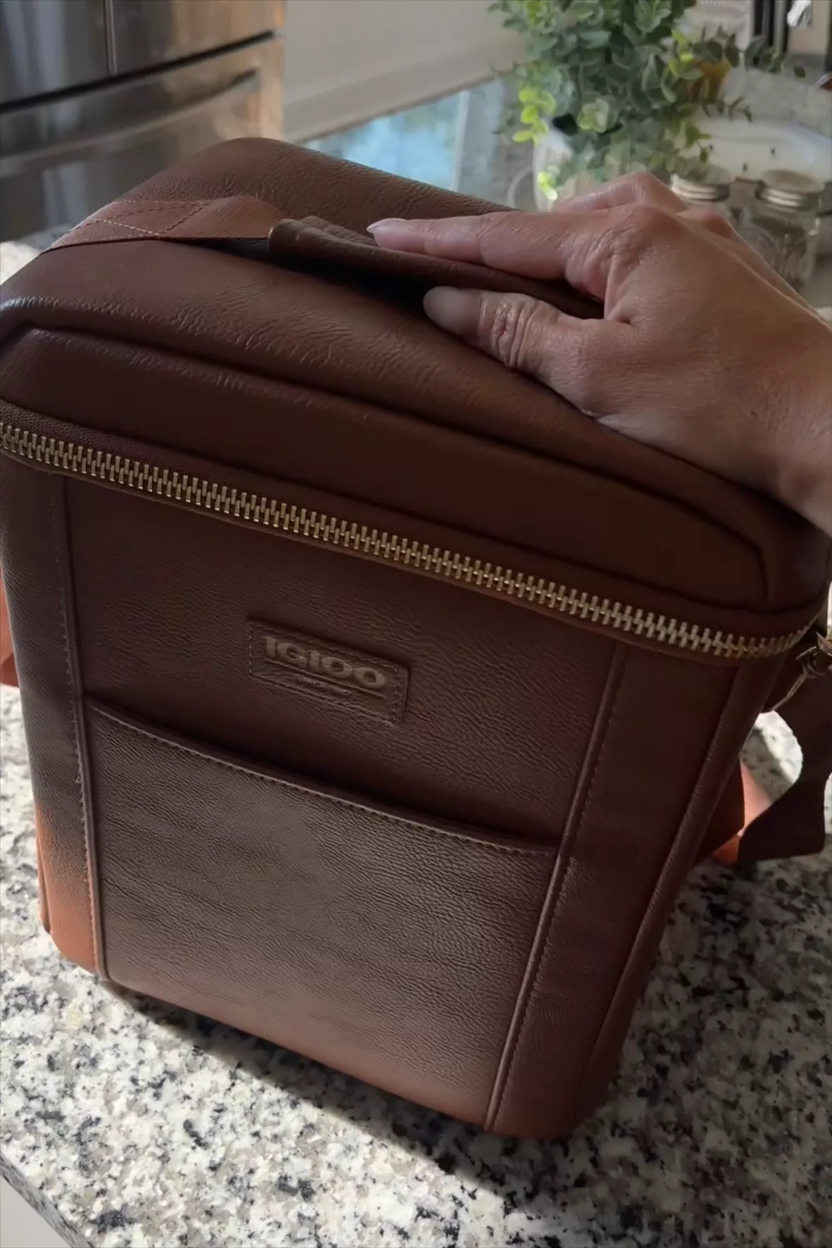 IGLOO Luxe Insulated Convertible Mini Backpack