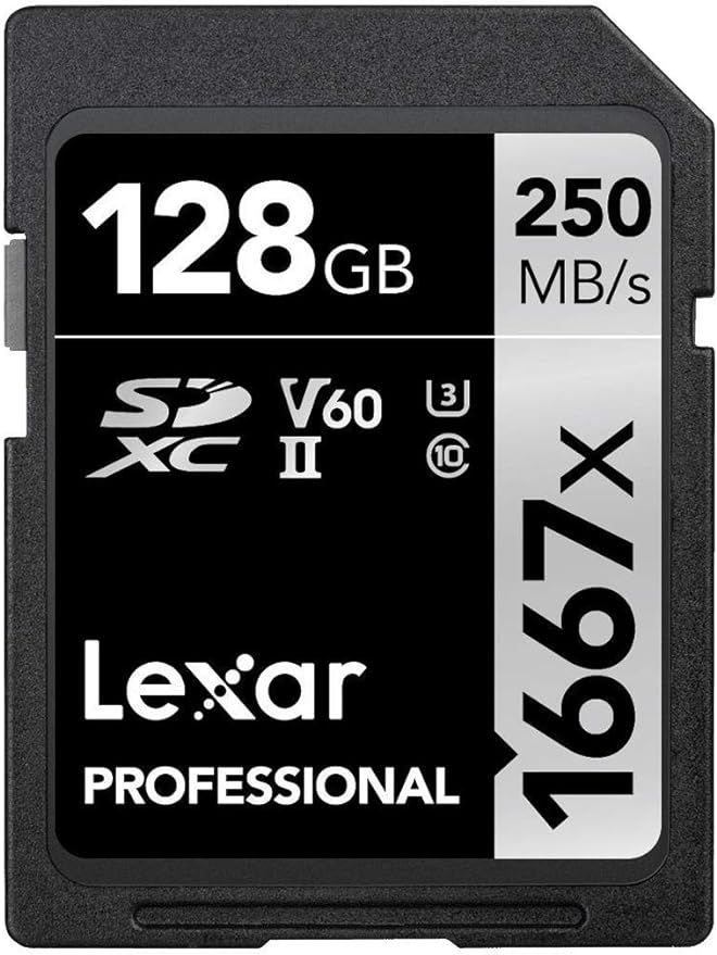Lexar Professional 1667x 128GB SDXC UHS-II Card, Up To 250MB/s Read, for Professional Photographe... | Amazon (US)