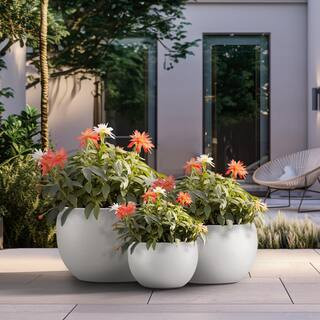 11.5in., 15in., 19in. Dia Crisp White Extra Large Tall Round Concrete Plant Pot/Planter for Indoo... | The Home Depot